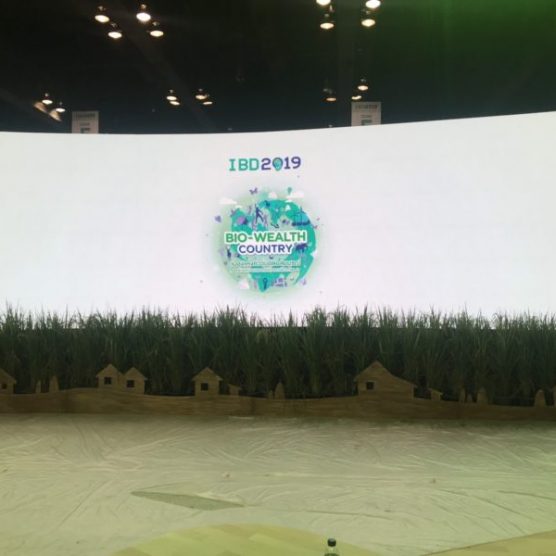บริการให้เช่าจอ LED_ IBD2019