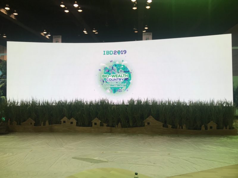 บริการให้เช่าจอ LED_ IBD2019